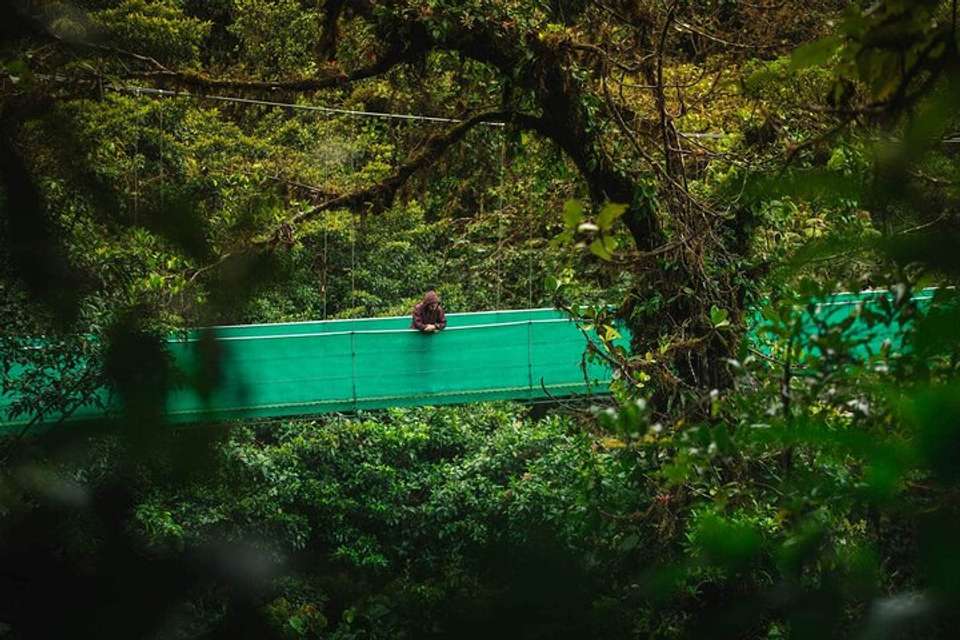 Sky Walk From Monteverde - undefined - Image 13