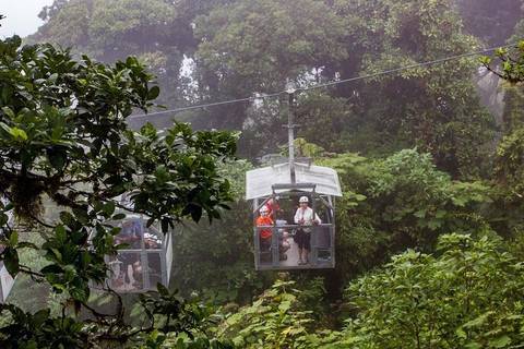Climbing Tour: Sky Walk- Sky Tram And Sky Trek Zipline From Monteverde