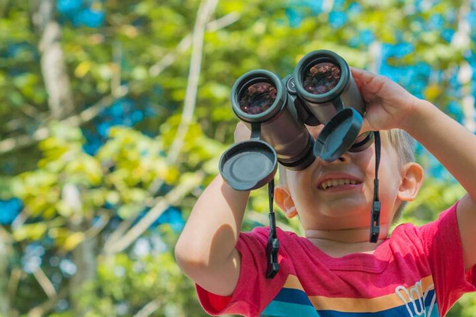 Sloth Observation Tour –day Or Night From Arenal - Destination Services - Costa Rica - Image 4