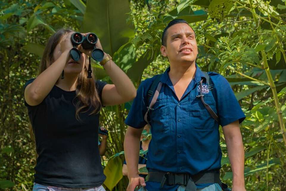 Sloth Observation Tour –day Or Night From Arenal - Destination Services - Costa Rica - Image 5