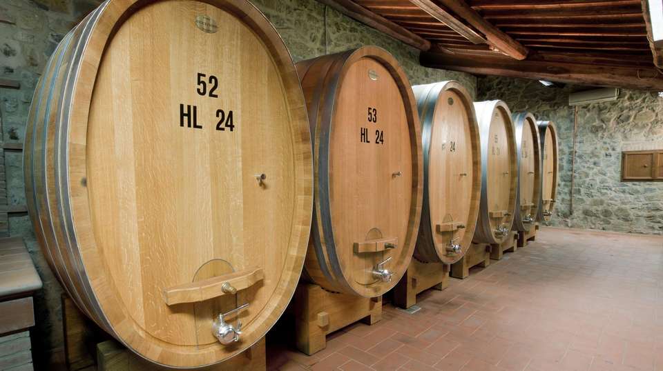 Small Group Brunello Wine Tour from Siena - Tuscan Escapes - Italy
