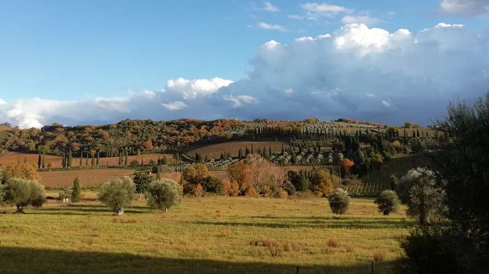 Small Group Brunello Wine Tour from Siena - Tuscan Escapes - Italy