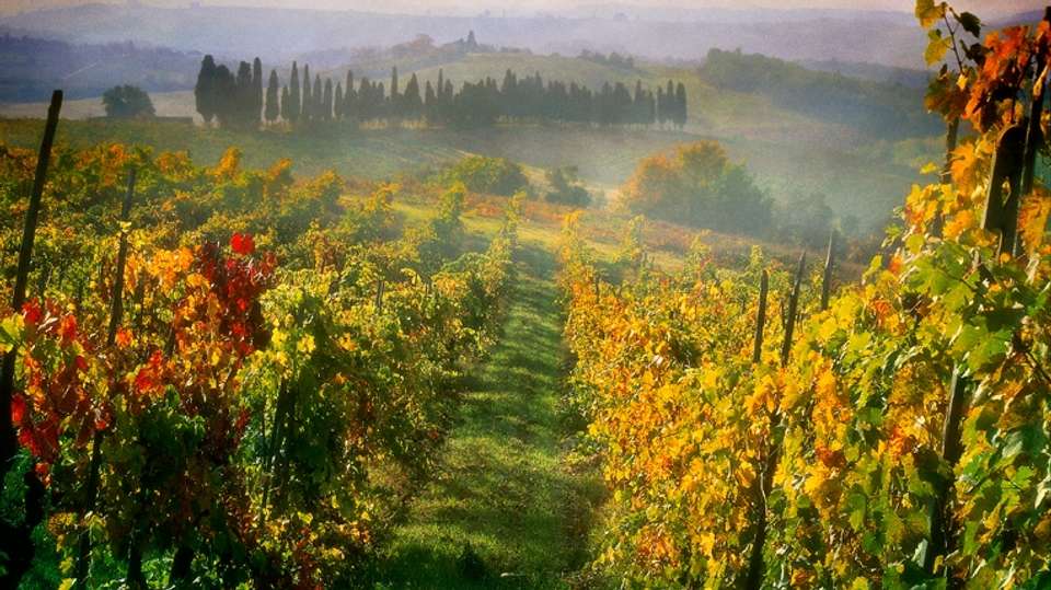 Small Group Chianti and Castles Wine Tour from Siena - Tuscan Escapes - Italy