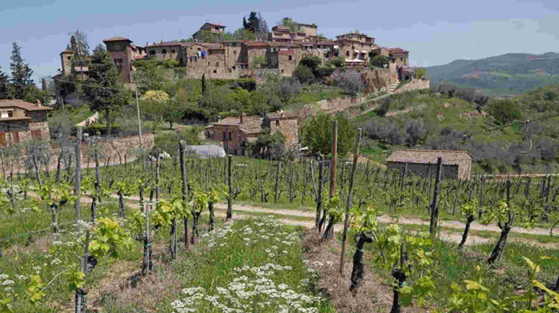 Small Group Chianti and Castles Wine Tour from Siena
