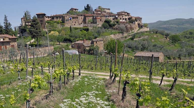 Small Group Chianti and Castles Wine Tour from Siena trip - alternative tour available