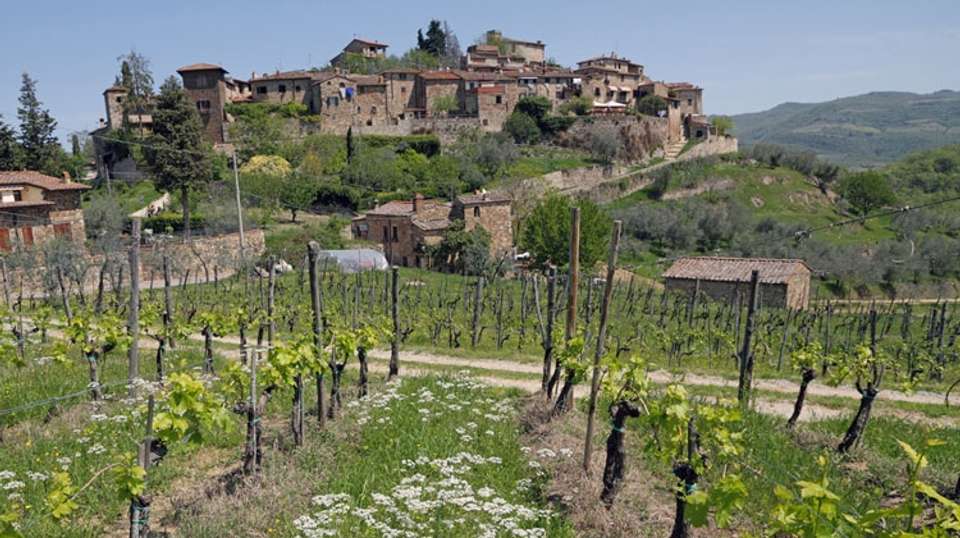 Small Group Chianti and Castles Wine Tour from Siena - Tuscan Escapes - Italy