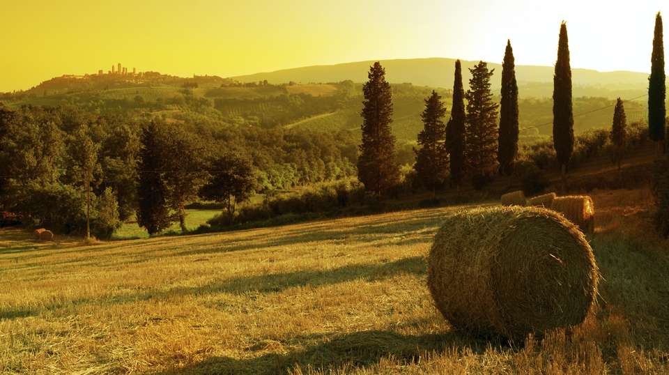 Small Group Chianti & San Gimignano Sunset Wine Tour - Tuscan Escapes - Italy