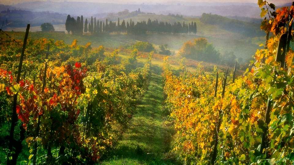 Small Group Chianti & San Gimignano Sunset Wine Tour - Tuscan Escapes - Italy