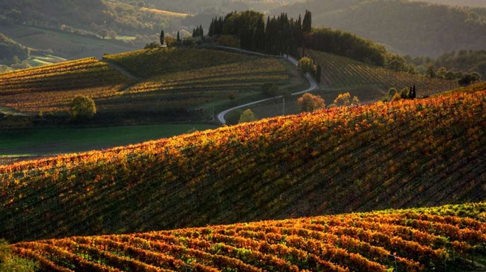Small Group Chianti & San Gimignano Sunset Wine Tour - Tuscan Escapes - Italy