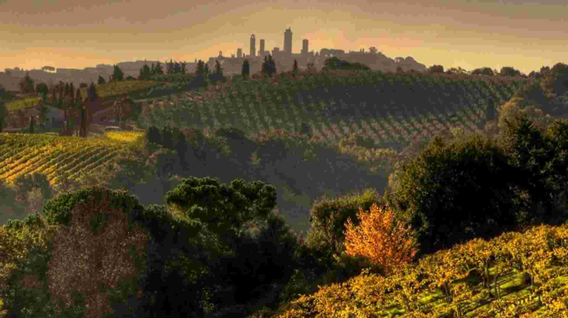 Small Group Chianti & San Gimignano Sunset Wine Tour