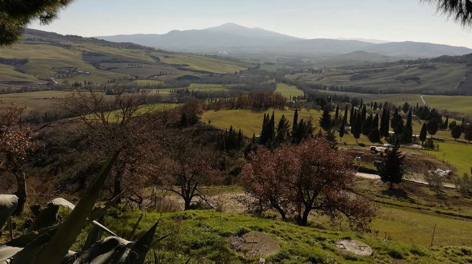 Small Group Pienza & Montepulciano Tour from Siena - Tuscan Escapes - Italy