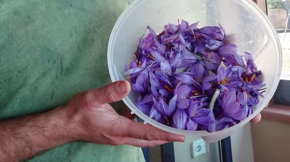 Small Group San Gimignano & Volterra Tour from Siena - Tuscan Escapes - Italy