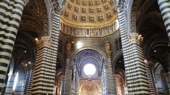 Image 5 of 7
