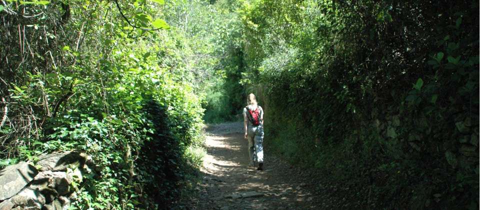 Smugglers Trails of the Sierra de Aracena - 8 Days - Walkers' Britain - Spain - Image 4