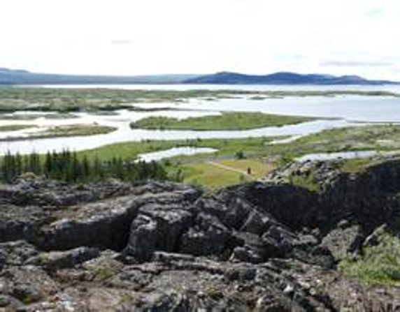 Image 5 of 15