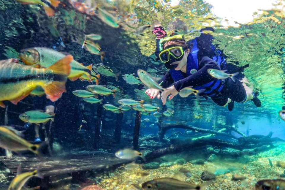 Snorkeling Rio Da Prata Tour - Tangol Tours - Brazil - Image 5