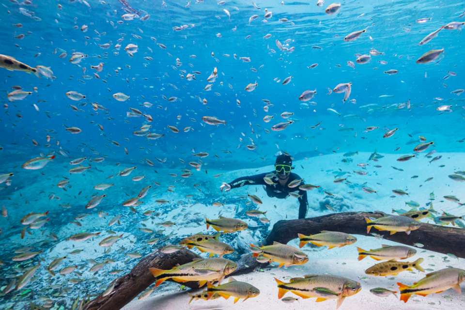 Snorkeling Rio Da Prata Tour - Tangol Tours - Brazil - Image 6