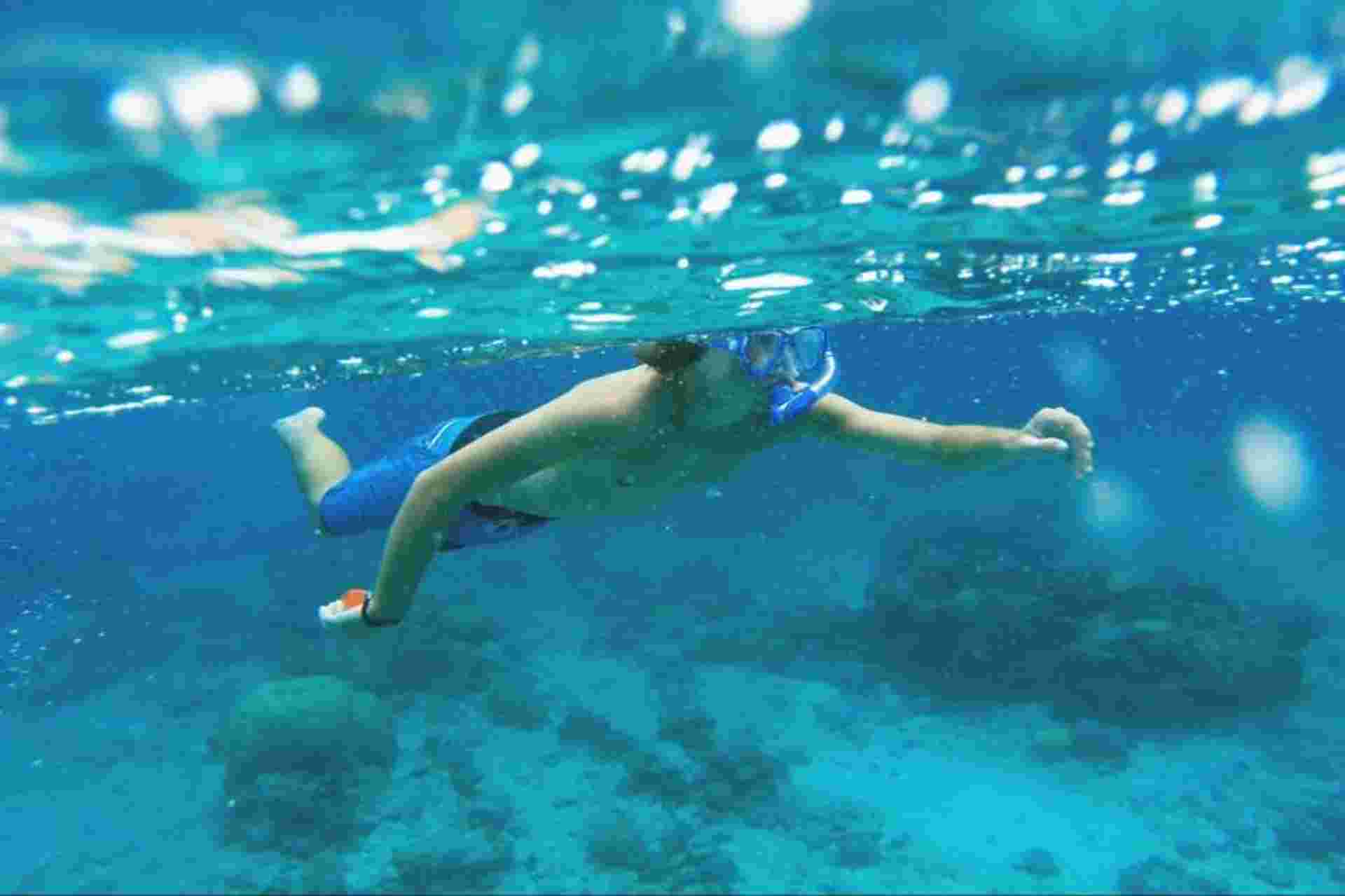 Snorkeling Rio Da Prata Tour