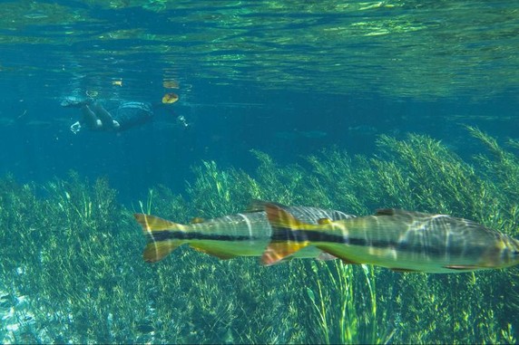 Image 3 of 7