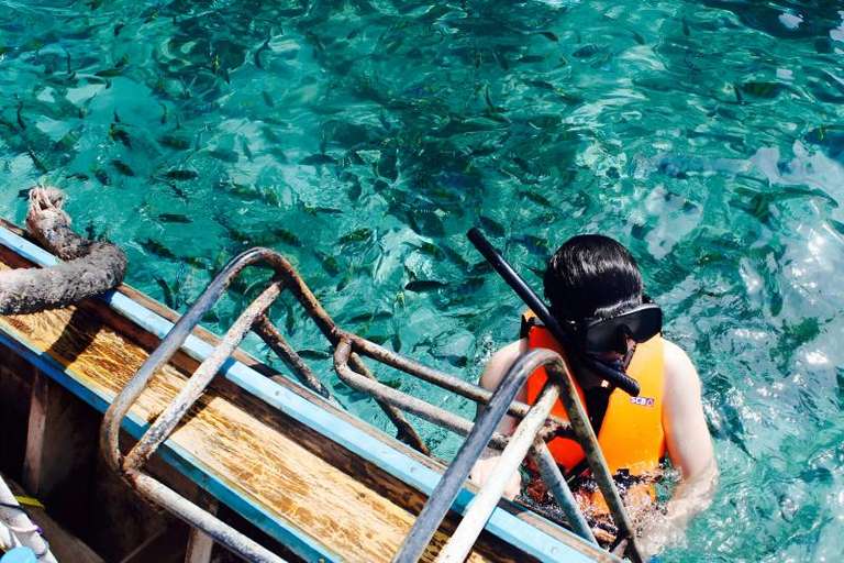 Snorkeling to Motu Nui on Easter Island trip - alternative tour available