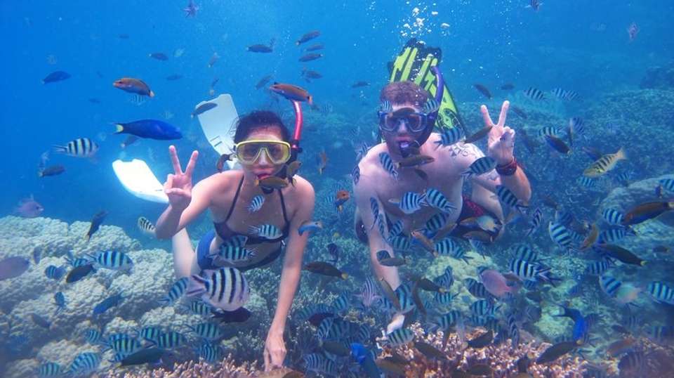Snorkeling trip with BBQ lunch - Nemo Diving Center - UAE - Image 1