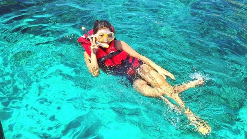 Snorkeling trip with BBQ lunch - Nemo Diving Center - UAE - Image 2