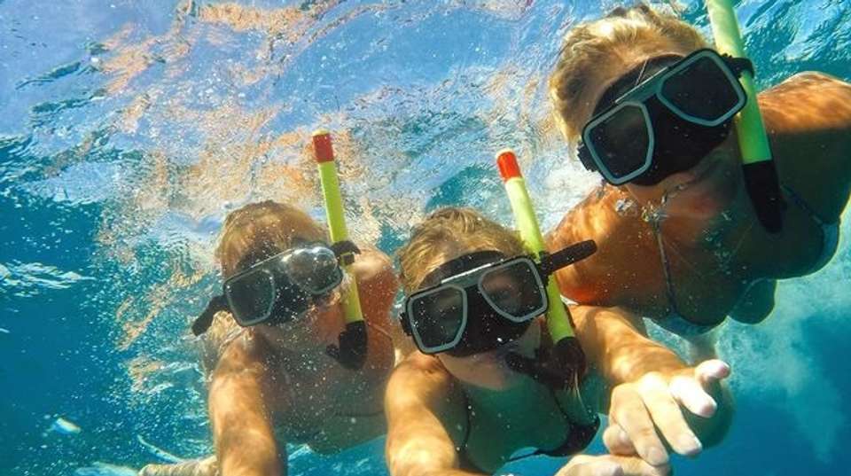 Snorkeling trip with BBQ lunch - Nemo Diving Center - UAE - Image 3