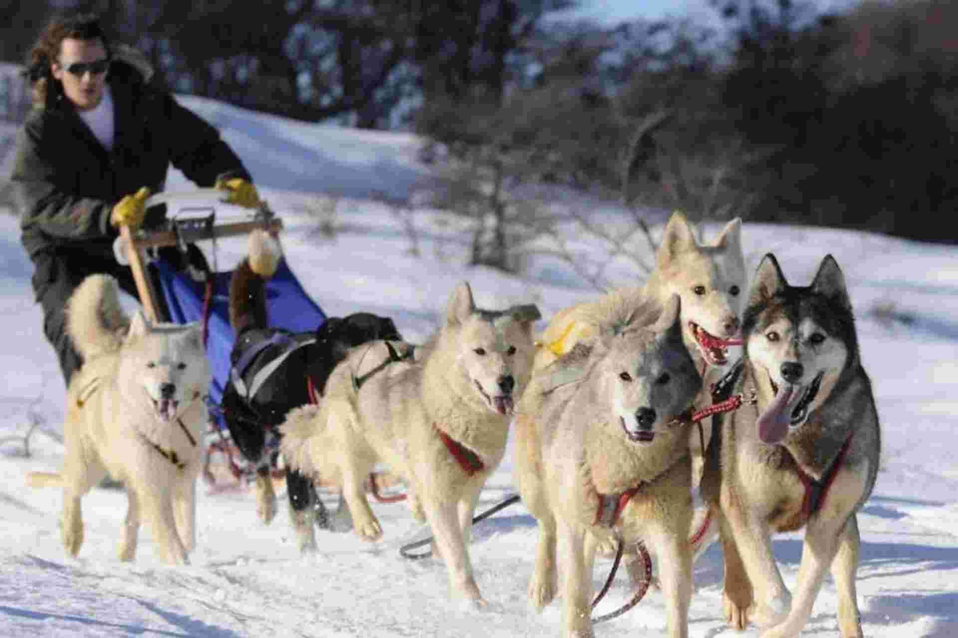 Snow Adventure Night Tour