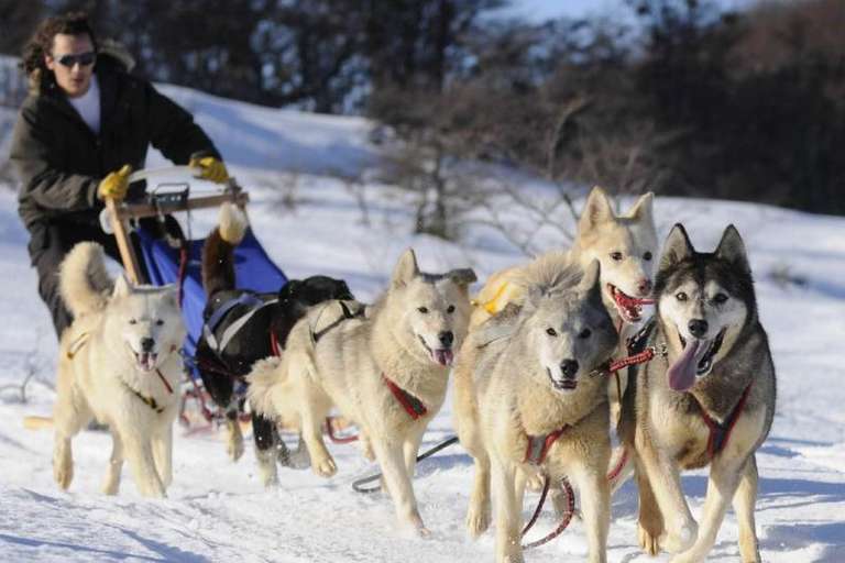 Snow Adventure Night Tour trip - alternative tour available