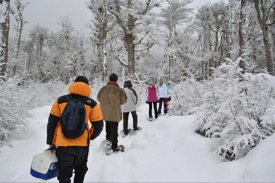 Snow Adventure Night Tour - Tangol Tours - Argentina - Image 3