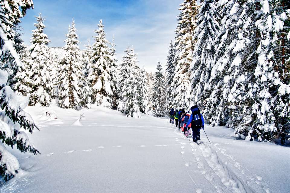 Snowshoeing in the Dolomites - Premium Adventure - Exodus Adventure Travels - Italy - Image 20