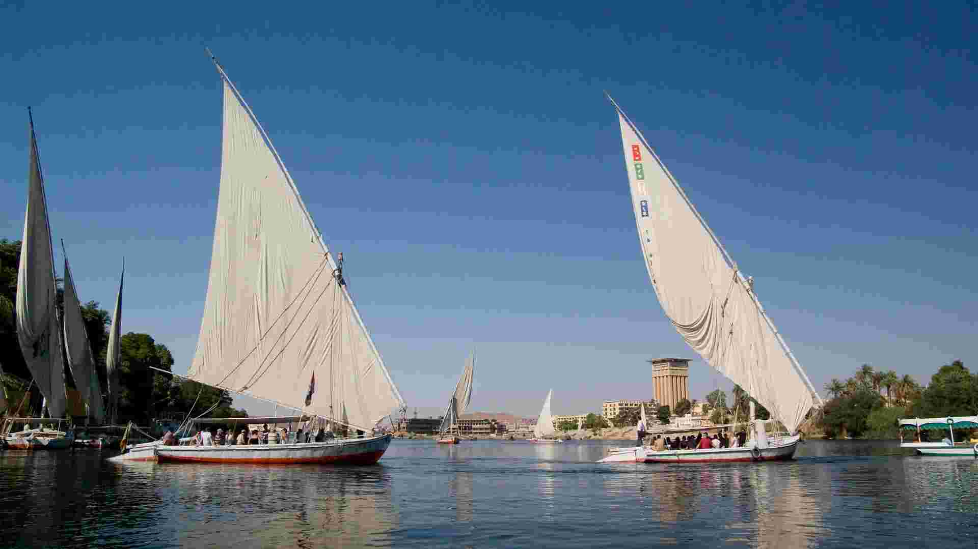 Solo-ish Egypt