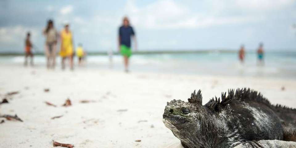Solo-ish Galápagos - G Adventures - Ecuador - Image 1