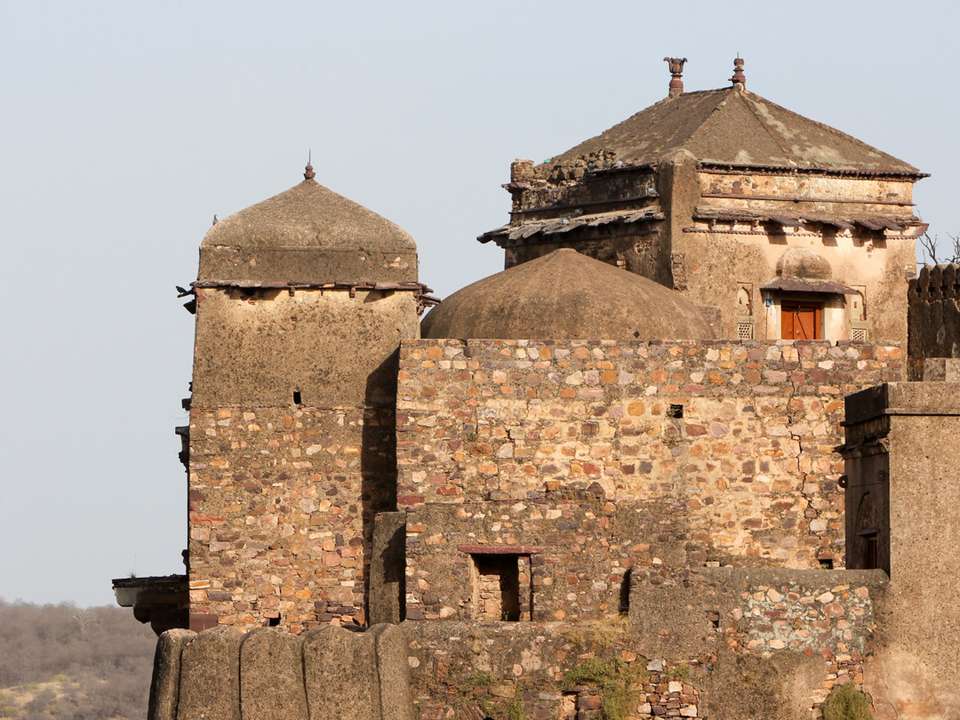 Solo-ish India - G Adventures - India - Image 8