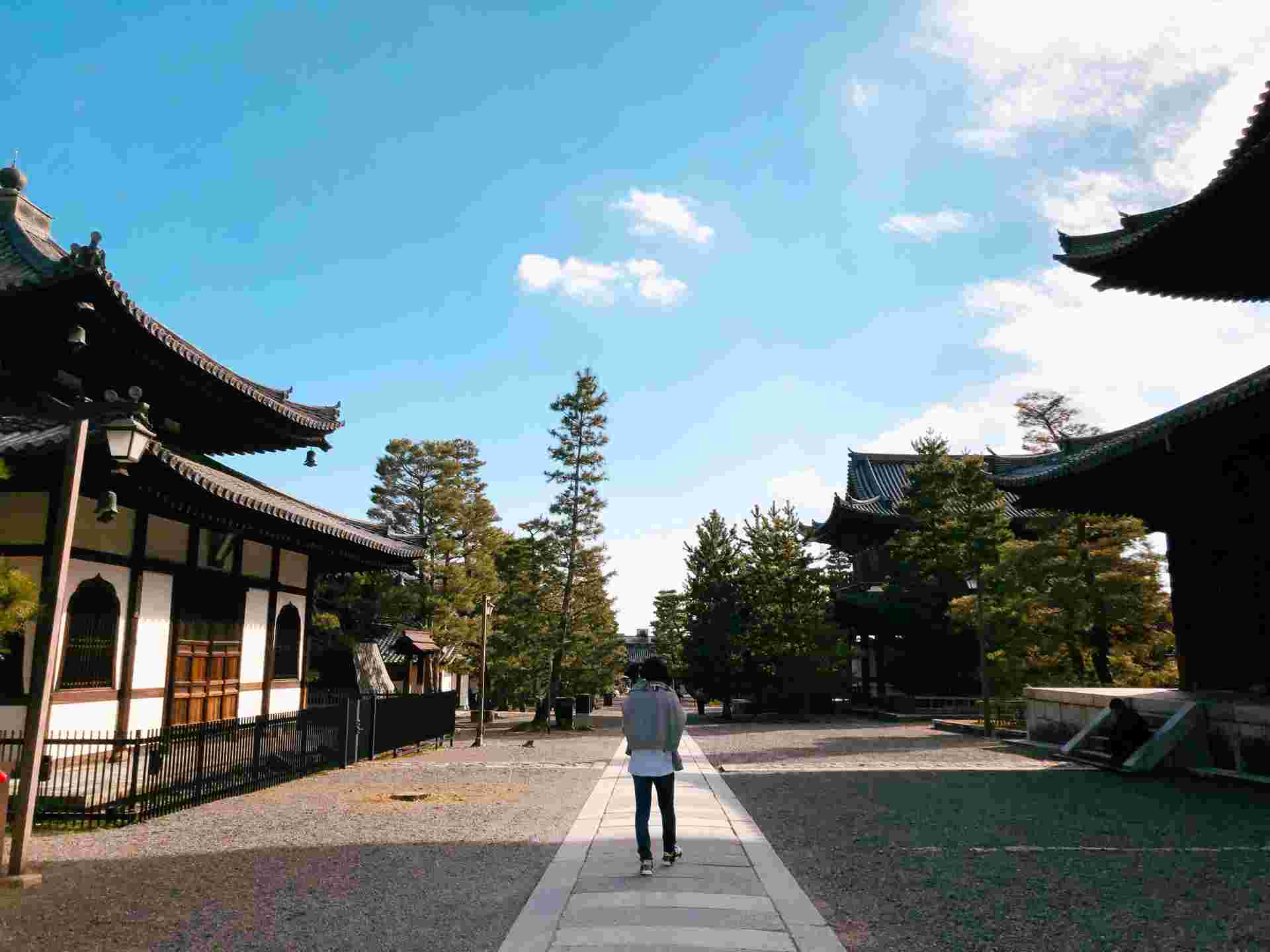 Solo-ish Japan
