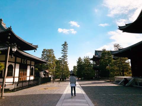 Solo-ish Japan - Winter Tours