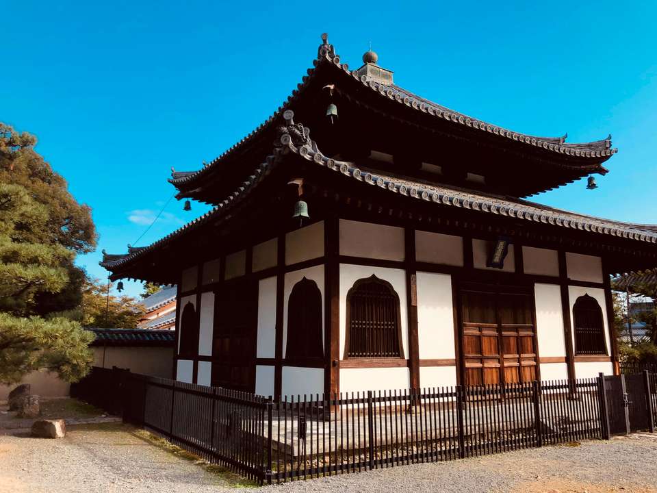 Solo-ish Japan - G Adventures - Japan - Image 13