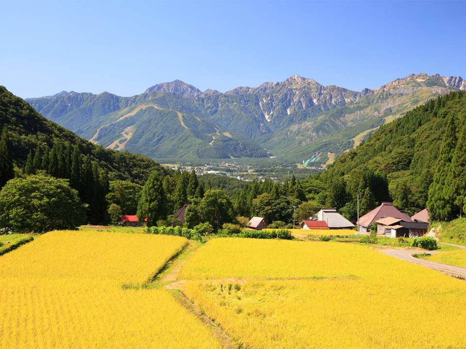 Solo-ish Japan - G Adventures - Japan - Image 10