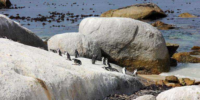 Solo-ish South Africa trip - alternative tour available