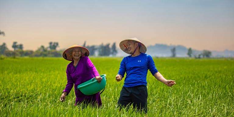 Solo-ish Vietnam trip - alternative tour available