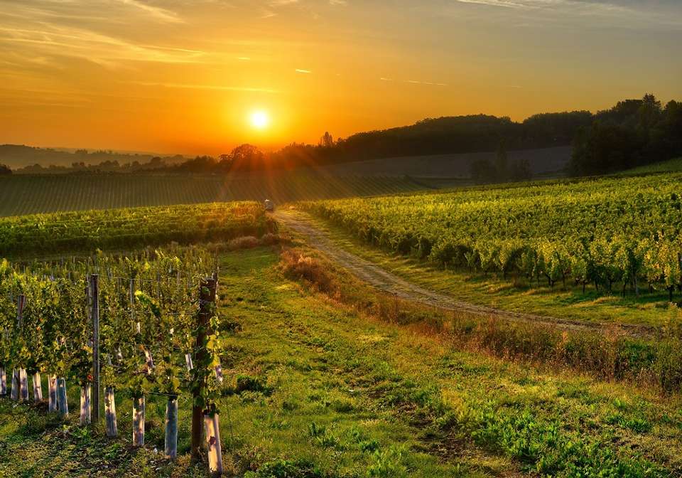 Solo lite Fabulous France - Indus Travels - France - Image 3