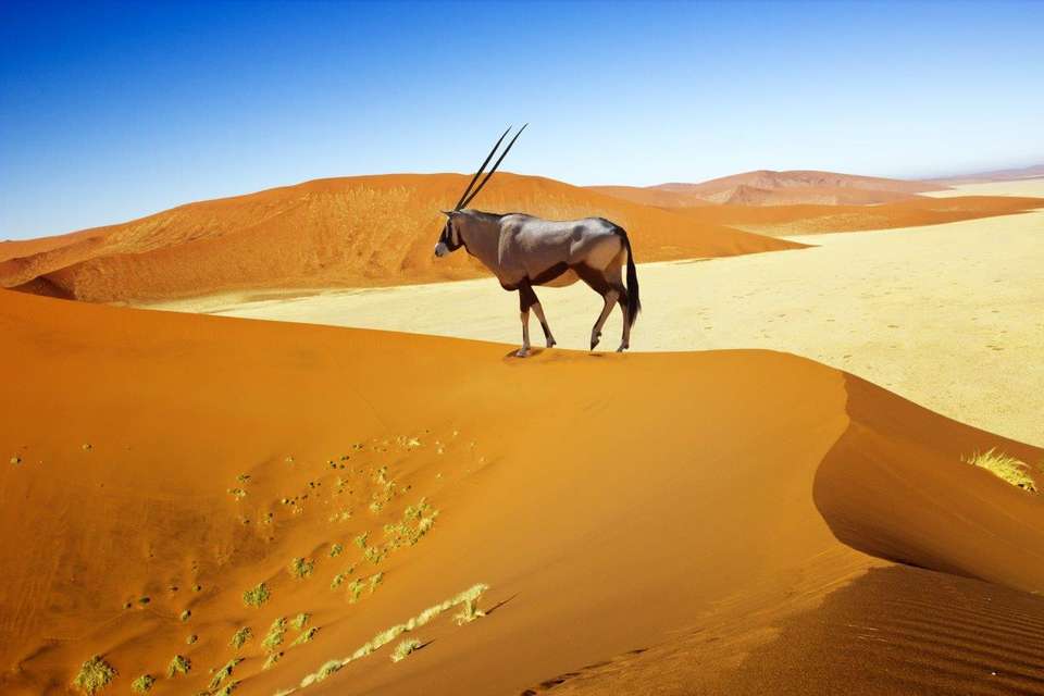 Sossusvlei Region Short Break, Private Tour (on Request) - Destination Services - Namibia - Image 2