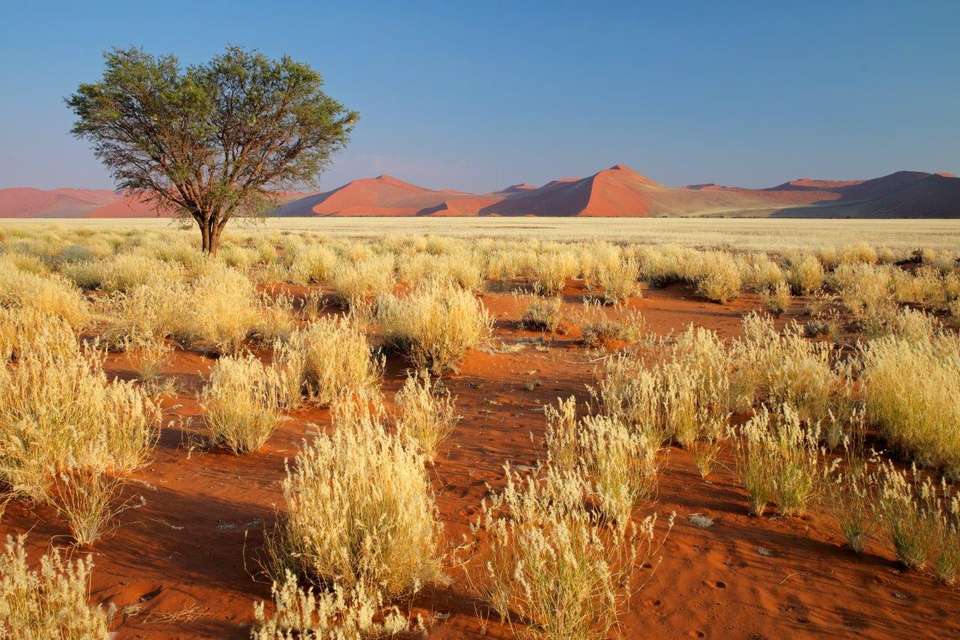 Sossusvlei Region Short Break, Private Tour (on Request) - Destination Services - Namibia - Image 3