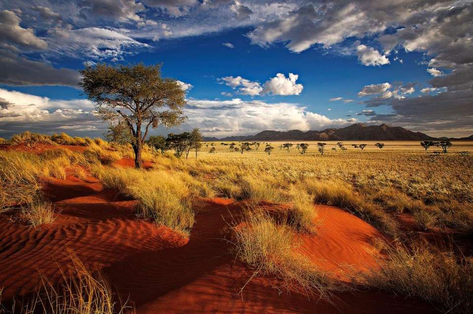 Sossusvlei Region Short Break, Private Tour (on Request) - Destination Services - Namibia - Image 4