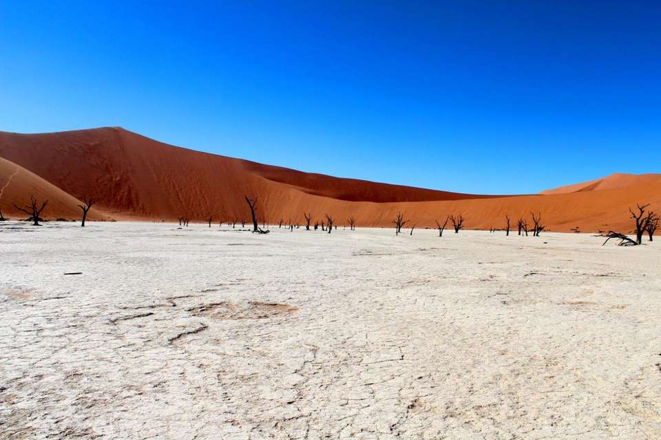 Sossusvlei Region Short Break, Private Tour (on Request) - Destination Services - Namibia - Image 8