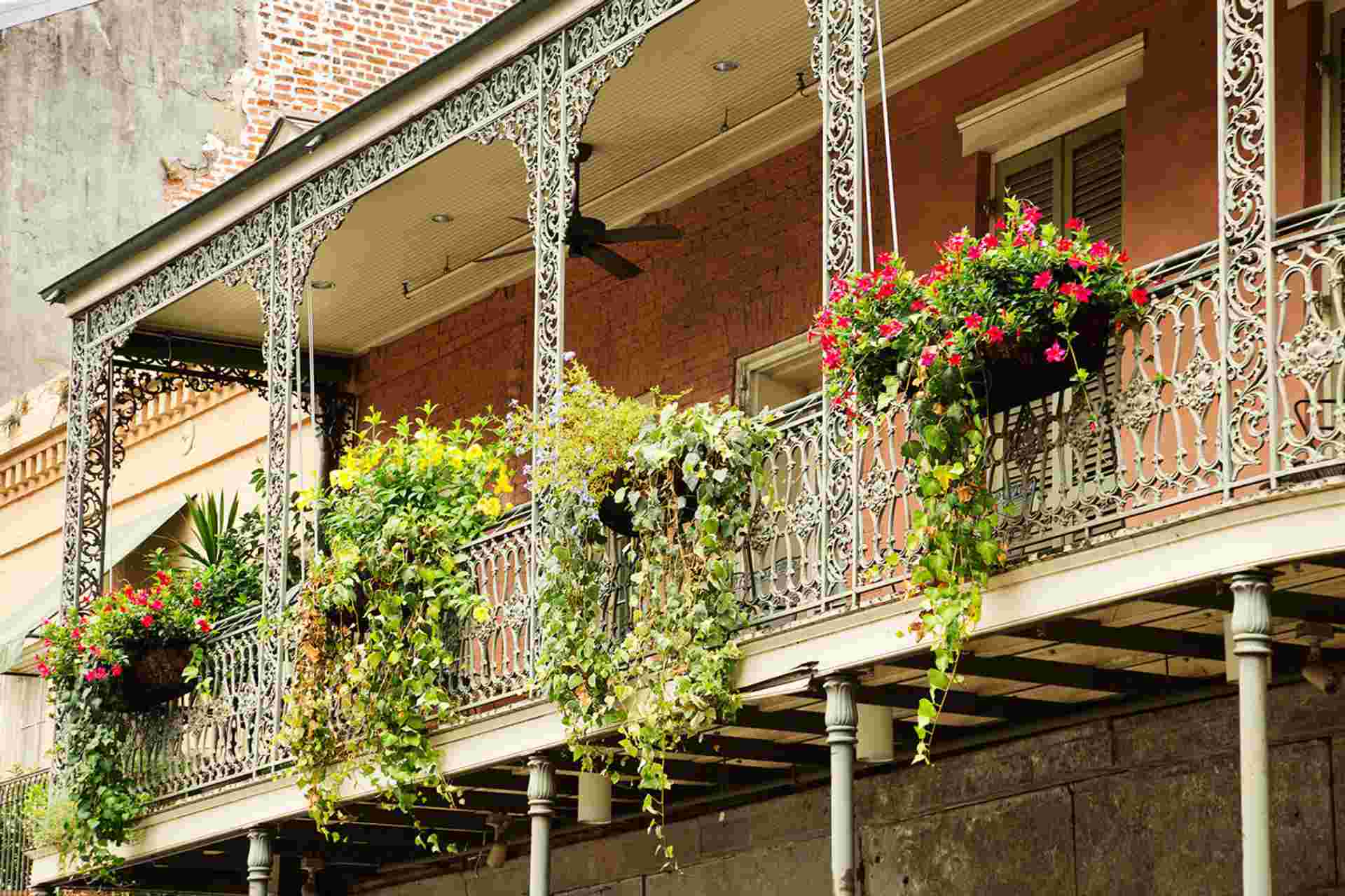 Soul of the Deep South, a Women-Only Tour