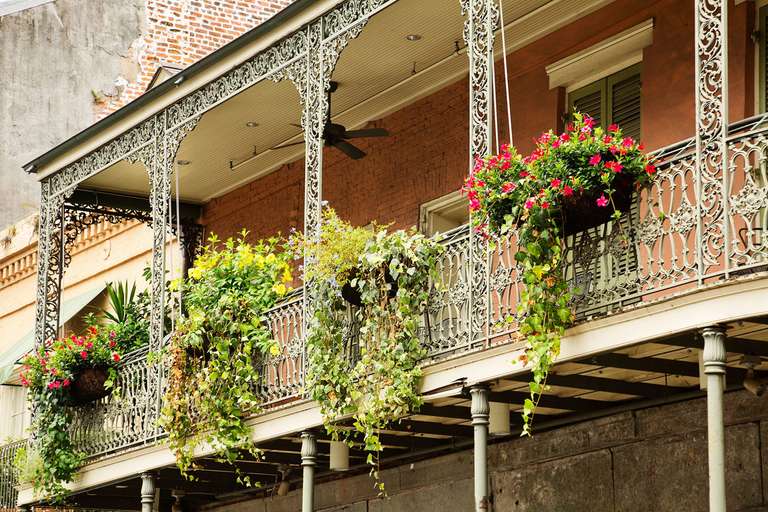 Soul of the Deep South, a Women-Only Tour trip - alternative tour available