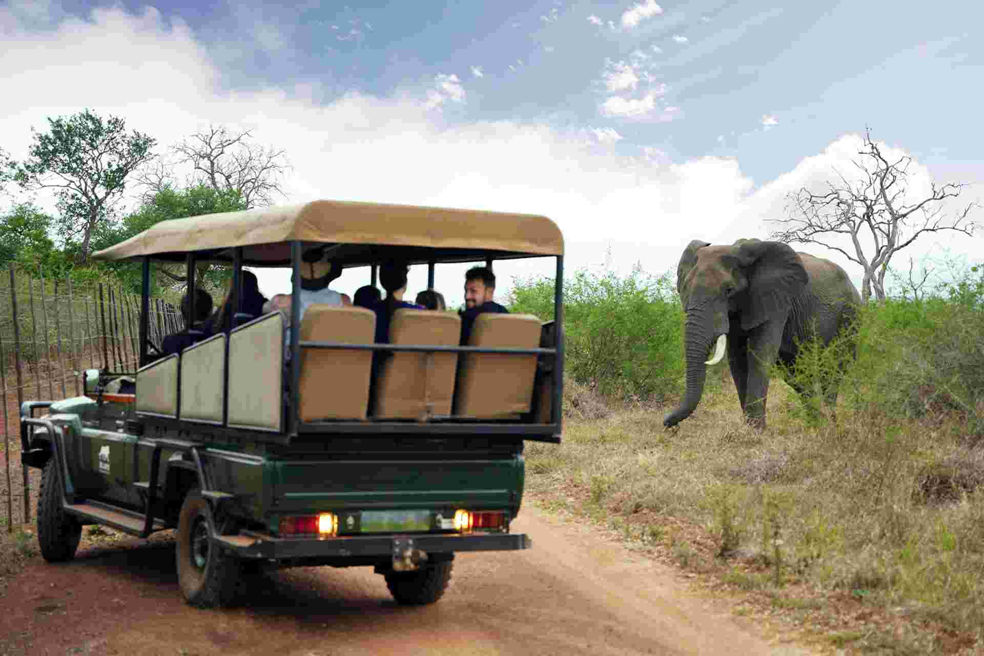 South Africa Adventure