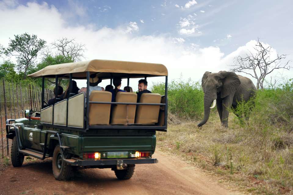South Africa Adventure - Intro Travel - South Africa - Image 1