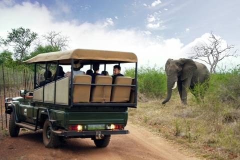 South Africa Adventure - Fall Tours